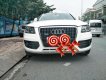 Audi Q5 Cũ   20T 2010 - Xe Cũ Audi Q5 20T 2010