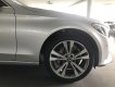 Mercedes-Benz C ũ Meredes-Benz  250 2017 - Xe Cũ Mercedes-Benz C 250 2017