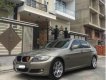 BMW 3 Series 320i  2009 - Bán ô tô BMW 3 Series 320i đời 2009, màu ghi vàng