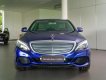 Mercedes-Benz C class C250 2018 - Bán Mercedes C250 2018 xanh/kem, mới 100%, ưu đãi 8% thuế trước bạ