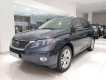 Lexus RX  450h 2009 - Bán xe Lexus RX 450h đời 2009, xe nhập