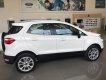 Ford EcoSport   Titanium 1.5L AT 2018 - Bán Ford EcoSport 2018 Titanium 1.5L, đủ màu giao ngay, nhiều quà tặng hấp dẫn, hỗ trợ vay trả góp 80%