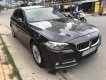 BMW 5 Series  520i   2014 - Bán xe BMW 520i sản xuất năm 2014, màu nâu, xe gia đình