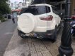 Ford EcoSport   Black Edition   2017 - Bán xe Ford EcoSport Black Edition sản xuất năm 2017, màu trắng, xe cá nhân sử dụng kỹ lưỡng, bảo dưỡng hãng