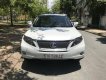 Lexus RX 2011 - Bán xe Lexus RX sản xuất năm 2011, màu trắng, xe nhập