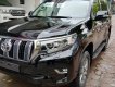 Toyota Land Cruiser Prado 2.7L VX 2018 - Bán Toyota Land Cruiser Prado 2.7L VX (2018) nhập khẩu, giao xe sớm, hỗ trợ vay tới 85% giá trị xe. Hotline 0987404316