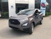 Ford EcoSport 2018 - Cần bán xe Ford EcoSport đời 2018, màu nâu, nhập khẩu
