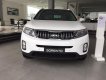 Kia Sorento GAT 2018 - Giá xe Kia Sorento All New 2018 thiết kế mới đủ màu giao xe, giảm ngay tiền mặt cho khách hàng. LH 0967574679 Đức