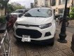 Ford EcoSport   Black Edition   2017 - Bán xe Ford EcoSport Black Edition sản xuất năm 2017, màu trắng, xe cá nhân sử dụng kỹ lưỡng, bảo dưỡng hãng