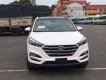 Hyundai Tucson 2018 - Bán Hyundai Tucson đời 2018, màu trắng, xe nhập