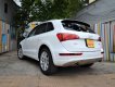 Audi Q5 2.0 T 2009 - Bán Audi Q5 2.0 T sản xuất 2009