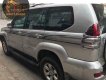 Toyota Prado  vx 4.0 2005 - Bán Toyota Prado vx 4.0 đời 2005, màu bạc, giá 800tr