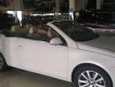 Volkswagen Eos 2007 - Bán xe Volkswagen Eos đời 2007, màu trắng, nhập khẩu