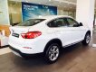 BMW X4 XDrive 20i  2017 - Bán xe BMW X4 XDrive 20i năm 2017, mới 100%