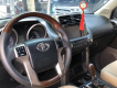 Toyota Prado TXL 2010 - Cần bán xe Toyota Prado TXL năm 2010, nhập khẩu nguyên chiếc chính chủ