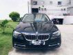 BMW 5 Series    520i   2014 - Cần bán gấp BMW 5 Series 520i sản xuất 2014
