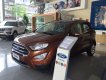 Ford EcoSport 1.5L AT Ambiente 2018 - Bán Ford Ecosport Titanium tại Lạng Sơn giao ngay, đủ màu, giảm cực mạnh, hỗ trợ 80%, 8 năm - LH: 0942552831