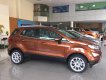 Ford EcoSport 1.5L AT Ambiente 2018 - Bán Ford Ecosport Titanium tại Lạng Sơn giao ngay, đủ màu, giảm cực mạnh, hỗ trợ 80%, 8 năm - LH: 0942552831