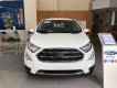 Ford EcoSport 1.0L AT Titanium 2018 - Bán Ford Ecosport Titanium tại Hải Dương giao ngay, đủ màu, giảm cực mạnh, hỗ trợ 80%, 8 năm - LH: 0942552831