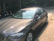 BMW 5 Series 523i 2010 - Cần bán BMW 5 Series 523i đời 2010, màu nâu 