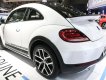 Volkswagen Beetle 2018 - Bán Volkswagen Beetle 2018, màu trắng, nhập khẩu nguyên chiếc