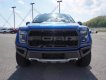 Ford F 150 Raptor 2018 - Bán ô tô Ford F 150 Raptor năm 2018, màu xanh lam, nhập khẩu