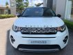 LandRover Discovery 2016 - Cần bán xe LandRover Discovery sản xuất 2016, màu trắng, nhập khẩu nguyên chiếc