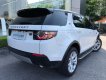 LandRover Discovery 2016 - Cần bán xe LandRover Discovery sản xuất 2016, màu trắng, nhập khẩu nguyên chiếc