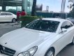 Mercedes-Benz CLS class CLS 350 2008 - Bán lại xe Mercedes-Benz CLS 350, mới 7 vạn km