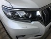 Toyota Land Cruiser Prado VX  2018 - Bán Toyota Prado Prado VX 2018, màu trắng, nhập khẩu