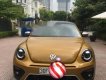 Volkswagen Beetle   Dune   2017 - Bán Wolkwagen Beetle Sx 2017 ĐK 2018, bản 2.0, 2 cửa