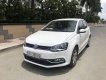 Volkswagen Polo   2017 - Cần bán Volkswagen Polo 2017, nữ chạy, tình trạng 95%