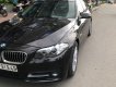 BMW 5 Series 520i 2015 - Cần bán gấp BMW 5 Series 520i 2015, màu đen, nhập khẩu  