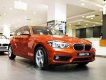 BMW 1 Series  118i   2017 - Bán BMW 118i sản xuất 2017 số tự động