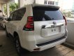 Toyota Land Cruiser Prado VX  2018 - Bán Toyota Prado Prado VX 2018, màu trắng, nhập khẩu