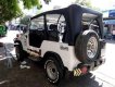 Jeep Wrangler 2002 - Cần bán gấp Jeep Wrangler năm 2002, màu trắng, nhập khẩu