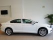 Volkswagen Passat 2017 - Bán Volkswagen Passat Bluemotion sản xuất 2017, màu trắng, nhập khẩu, giảm giá khủng những ngày cuối tháng