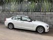 BMW 3 Series 320i 2012 - Bán BMW 3 Series 320i đời 2012, màu trắng, xe nhập
