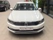 Volkswagen Passat 2017 - Bán Volkswagen Passat Bluemotion sản xuất 2017, màu trắng, nhập khẩu, giảm giá khủng những ngày cuối tháng