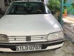 Peugeot 405   1996 - Bán Peugeot 405 năm 1996, màu trắng, nhập khẩu nguyên chiếc