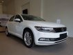 Volkswagen Passat 2017 - Bán Volkswagen Passat Bluemotion sản xuất 2017, màu trắng, nhập khẩu, giảm giá khủng những ngày cuối tháng