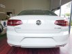 Volkswagen Passat 2017 - Bán Volkswagen Passat Bluemotion sản xuất 2017, màu trắng, nhập khẩu, giảm giá khủng những ngày cuối tháng