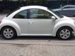Volkswagen Beetle   2010 - Bán Volkswagen Beetle sản xuất 2010, màu trắng