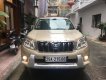 Toyota Land Cruiser TXL 2.7L 2011 - Bán xe Toyota Land Cruiser TXL 2.7L đời 2011, màu vàng, nhập khẩu  