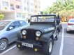 Jeep Wrangler 1980 - Bán xe Jeep Wrangler năm 1980, màu xanh lục, xe nhập, giá tốt