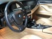 BMW 5 Series 528i 2012 - Cần bán lại xe BMW 5 Series 528i 2012, màu nâu, nhập khẩu nguyên chiếc