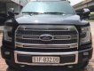 Ford F 150 Platinum  AT  2015 - Bán xe Ford F 150 Platinum  AT sản xuất 2015, màu đen, nhập khẩu