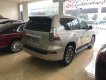 Lexus GX460 Luxury 2014 - Bán Lexus GX460 Luxury 2014, màu vàng, xe nhập