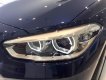 BMW 1 Series 118i 2018 - Cần bán xe BMW 1 Series 118i 2018, nhập khẩu  