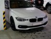 BMW 3 Series 320i 2015 - Cần bán lại xe BMW 3 Series 320i sản xuất 2015 
